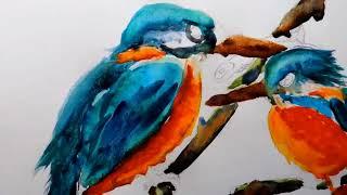 Painting in watercolours by colin statter Scottish wildlife Artist, kingfishers