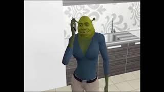 five little shreks.mp4