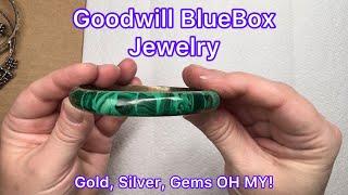 Goodwill BlueBox 5 Pound Mystery Jewelry Box Florida Box Is It Good? #jewelry #unboxing #goodwill