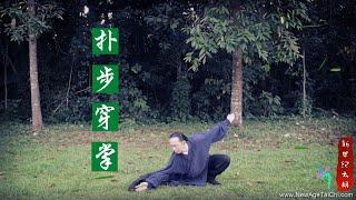 武术基本功扑步穿掌 Wushu fundamental - Crouch Stance palm strike