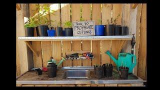 Crisis Gardening: How To Propagate Plants From Cuttings - AKA Free Plants!