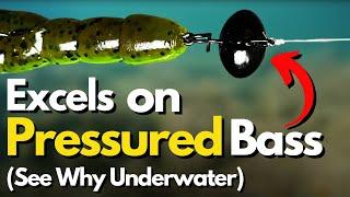 WHY the Swing Head is So Deadly on Pressured Bass (So Underrated)