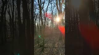 Magical Sunset in a Slovak Forest  | Peaceful Nature with Angelic Music | Relaxation Video in HD