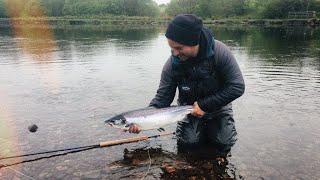 Reel Stories: Highland Springer