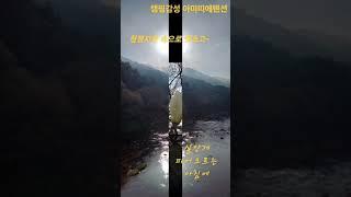 평창여행 청정자연 실안개 봄여행 캠핑감성 아미띠에펜션 꽃멍 강원도여행 평창가볼만한곳 #평창여행 #평창펜션추천 #평창가볼만한곳