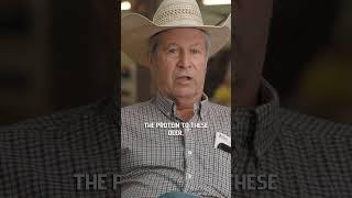 Livestock & Deer Breeding #lefeeds