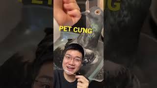 Đúng Là Pet Cưng Của Ta | Đức Reaction #shorts #reaction