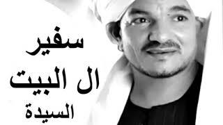 امين الدشناوي السيدة زينب