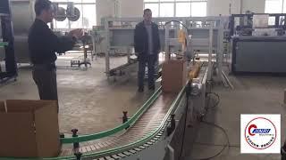 PET bottle carton packing machine