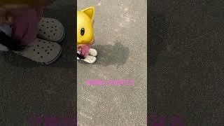 이거유행하나요?