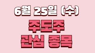 6월25일 관심종목,카카오뱅크,카카오,카카오게임즈,카카오페이NAVER,네이버,헥토파이낸셜,에코프로,다날,씨이랩,에코아이,펩트론,헥토파이낸셜,스맥,예선테크,흥구석유,지에스이,흥아해운