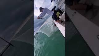 Catching Mutton & Live Bait Fishing #keylargo #florida #fishing