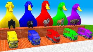 5 Giant Duck Cartoon, Cow, Zebra, Elephant, Lion, Paint Wild Animals Crossing Fountain Animation