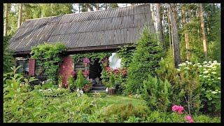 Russian village Toksovo - the usual home video. Russia St. Petersburg Countryside