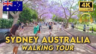 WALKING AROUND SYDNEY AUSTRALIA | Milsons Point to Crows Nest | 4K UHD Video Walk | Binaural Audio