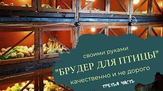 Как собрать брудер? | Часть 3 | Отвечаем на вопросы подписчиков