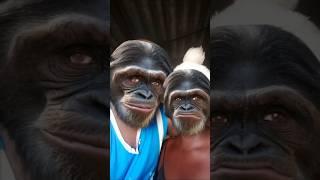 Amazing faces we become like the gorilla 