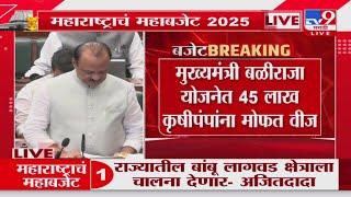 Ajit Pawar : 'मुख्यमंत्री बळीराजा योजनेत 45 लाख कृषीपंपांना मोफत वीज' : Maharashtra Budget 2025