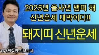 돼지띠  신년운세 2025년 을사년  95년생  83년생 71년생 59년생 47년생  전화상담 및 방문상담 051-805-4999