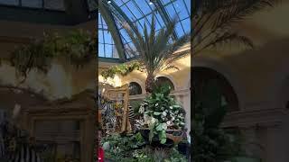 Bellagio’s Las Vegas Conservatory - Jungle of Dreams on 4th of July | Las Vegas #shorts