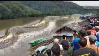 What they captured in a river shock the world 