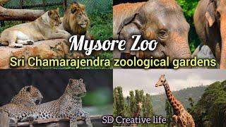 Mysore Zoo | Sri Chamarajendra Zoological Gardens | Animals Snakes videos -2024