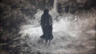 Britain's Most Haunted Village (Screaming Woods Forest!)