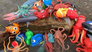 Megan's World: Sea Animal Toys by the River - Fun Playtime