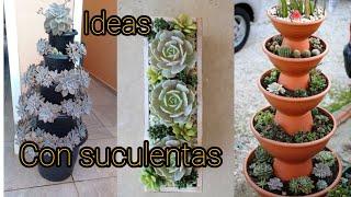 IDEAS con suculentas #suculentas #jardines