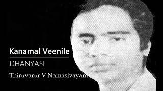 Kanamal Veenile / Dhanyasi / Adi / Muthu Thandavar / Thiruvarur  V Namasivayam