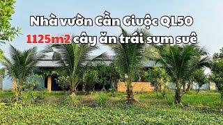 Nhà vườn nghỉ dưỡng Quốc Lộ 50 giáp Bình Chánh DT 1125m2 | Bán Nhà Bình Chánh | Nhà Đất Trang Anh