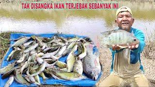 TAK DISANGKA IKAN TERJEBAK SEBANYAK INI.