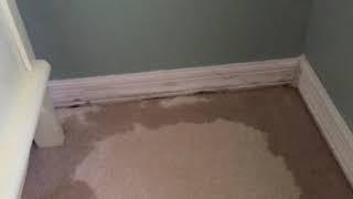 Water leak between bathroom and bedroom wall...not a good situation.