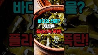 [Microplastics] 다시마와 미역에 미세플라스틱이?