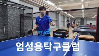 [대구핑퐁TV] 대구 엄성용탁구클럽