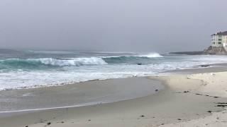 Marine Street Beach- La Jolla