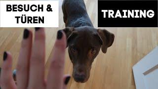 BESUCH & TÜREN TRAINING