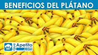 8 Propiedades y Beneficios del Plátano | QueApetito