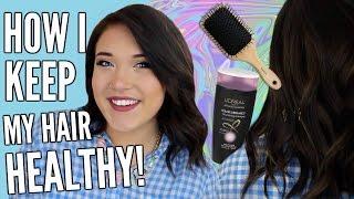 How I Keep My Hair Healthy // Products, Tips, & Hacks! | Cicily Boone