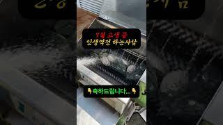 댓글에 본인띠를 적고 소원을 비세요 #사주 #운세