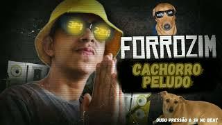 FORROZINHO • CACHORRO PELUDO ~ DUDU PRESSÃO MÚSICA NOVA PRA PAREDÃO {{2K24 JANEIRO ATUALIZADO}}