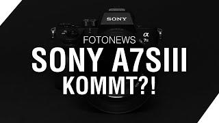 Sony A7sIII kommt?! // Nikon Z5 ohne...?! | Milou PD FOTONEWS