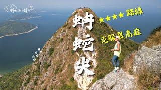 克服畏高症 | 挑戰香港第一險峰 | 再戰蚺蛇尖 | 四星路線 | 南脊 | 行山 | 航拍 | 4K | 遠足