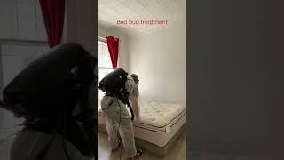 Bed bug treatment, the right way of getting the job done and eliminating bed bug once for all . ￼