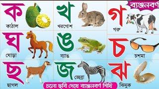 বাংলা ব্যজ্ঞনবর্ন ক খ গ ঘ | Learn Bengali Alphabet Banjonobarno |ক কাকাতুয়া খ খরগোশ | kkhggha