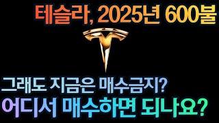 [고버니] 테슬라, 2025년 목표가 600불. 그래도 지금은 매수금지?