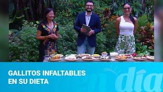 Gallitos infaltables en su dieta