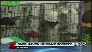 Safe Haven Humane Society opens in Howard