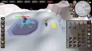 Osrs vorkath / blowpipe & bgs kill