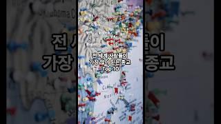 전 세계 사람들이 가장 많이 믿는 종교 top10 #top10 #지식 #tmi #history #종교